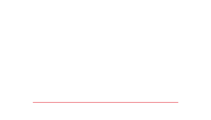 The Next Chapter Campaign Logo (White)